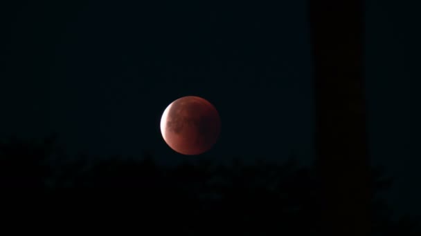 Eclipse Lunar Total 2018 Super Blue Blood Moon Time Lapse — Vídeos de Stock