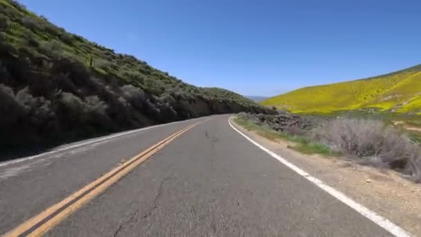 カリゾ プレイン ハイウェイ58号線西行きのスーパー ブルーム ドライビング プレート3 California Usa — ストック動画
