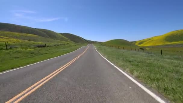 Carrizo Plain Highway Westbound Super Bloom Placa Condução Califórnia Eua — Vídeo de Stock