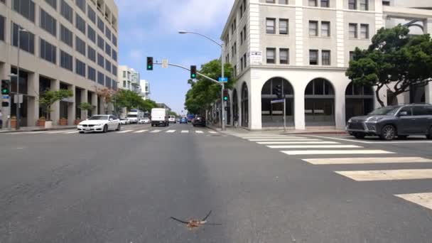 Santa Monica 5Th Southbound Santa Monica Blvd Driving Plate Kalifornia — Wideo stockowe