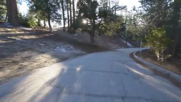 Invierno Bosque Backroad Placa Conducción Vista Frontal California — Vídeo de stock