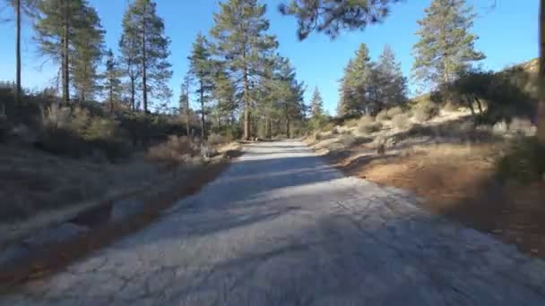 Invierno Bosque Backroad Placa Conducción Vista Trasera California — Vídeo de stock
