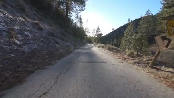 Winter Forest Backroad Driving Plate Front View California Usa — Stock video