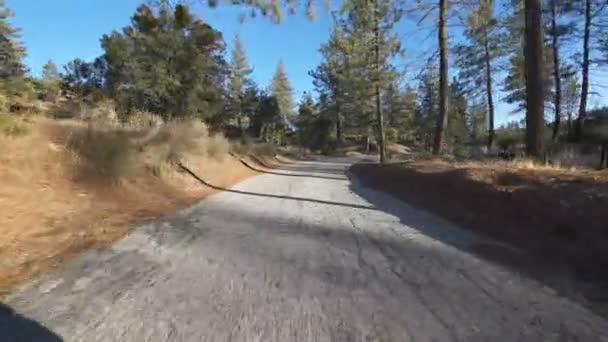 Invierno Bosque Backroad Placa Conducción Vista Frontal California — Vídeo de stock