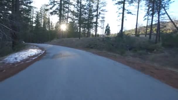 Inverno Floresta Backroad Dirigir Placa Vista Frontal Califórnia Eua — Vídeo de Stock