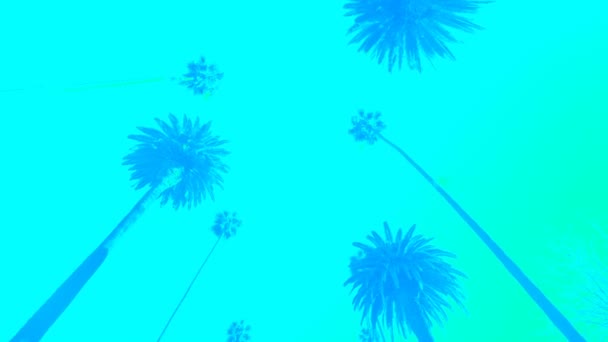 蓝色背景下移动的棕榈树轮廓 — 图库视频影像