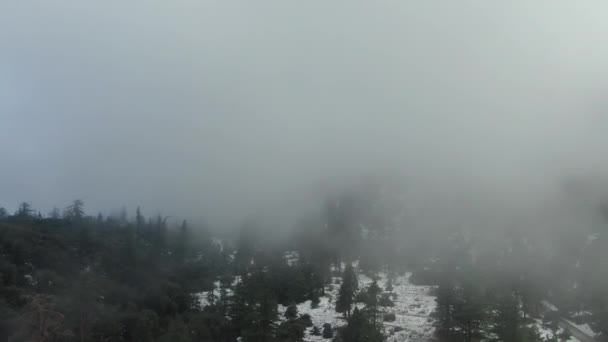 Foggy Forest Snow Covered Mountain Aerial Shot Descent Clouds Californië — Stockvideo