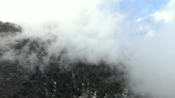 Vliegen Boven Wolken Luchtfoto Van Winter Mountain Forest Rechts — Stockvideo