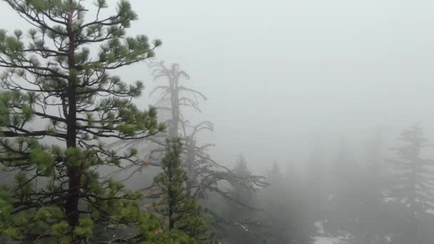 雪に覆われた山の霧の森米国カリフォルニア州で左の空中ショット — ストック動画
