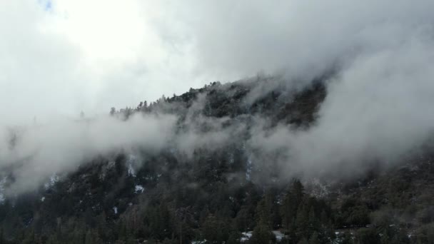 Foggy Forest Snow Covered Mountain Aerial Shot Right Elevate California — Stock Video