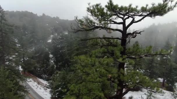 Letecký Zřízení Shot Foggy Forest Road Sněhem Pokryté Hoře — Stock video