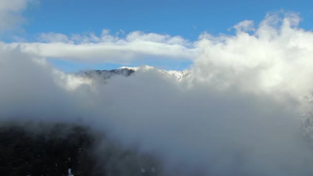 Vliegen Boven Wolken Luchthyperlaps Van Winter Mountain Forest Trek Uit — Stockvideo