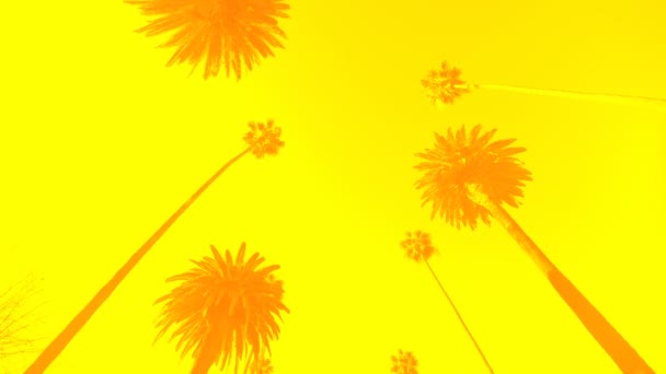 Palm Trees Moving Silhouettes Yellow Background — Stock Video