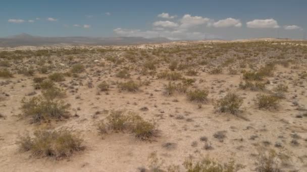 Tiro Aéreo Deserto Mojave California Joshua Árvores Arbustos Voltar — Vídeo de Stock