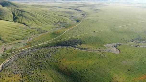 Antelope Valley Super Bloom Poppy Grassland California Aerial Shot — Stock Video