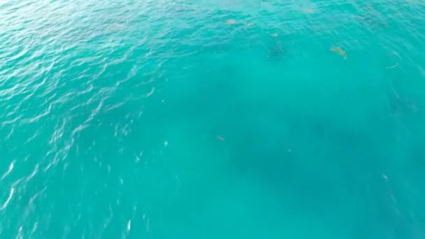 Vue Aérienne De L'océan Bleu à Malibu Californie USA 