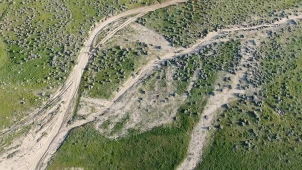 Coquelicot Super Bloom De La Vallée De L'antilope Dans Les Prairies En Californie Tir Aérien Incliné En Avant 