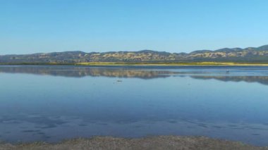 Carrizo Plain Ulusal Anıtı ABD Soda Gölü İstikrar Madalyası Sol Vuruşu