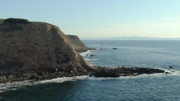 Colpo Aereo Palos Verdes Coastline California Destra — Video Stock