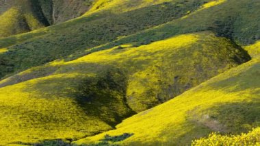 Carrizo Plain Ulusal Anıtı Kaliforniya Altın Tarlaları Hillside Zaman Hızı Uzaklaşması