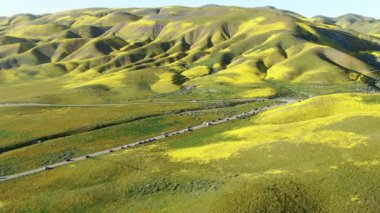 Carrizo Plain Ulusal Anıtı yakınlarındaki Otoyol Boyunca Turist Arabaları 2019 Super Bloom Forward