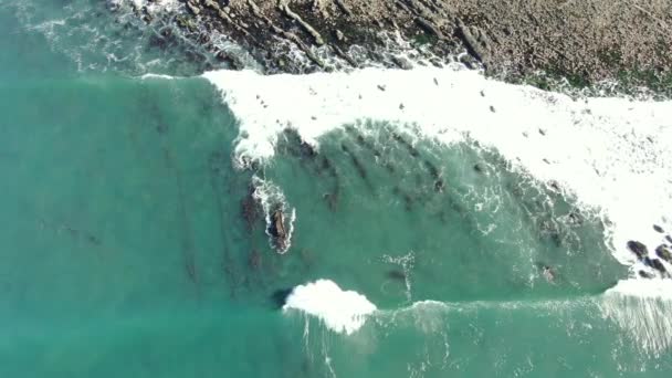Vue Aérienne De La Côte De La Californie Oiseaux Vue Aérienne Rive Rocheuse Gauche 