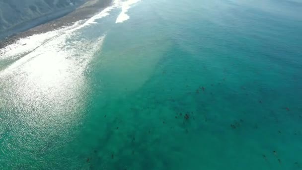 Aerial Shot Pacific Ocean California Coastline Tilt – stockvideo