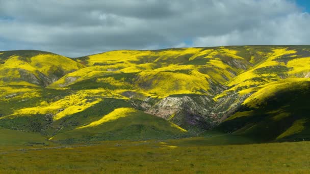 Carrizo Plain National Monument Flowers Time Lapse Shadow Hillsides — стокове відео