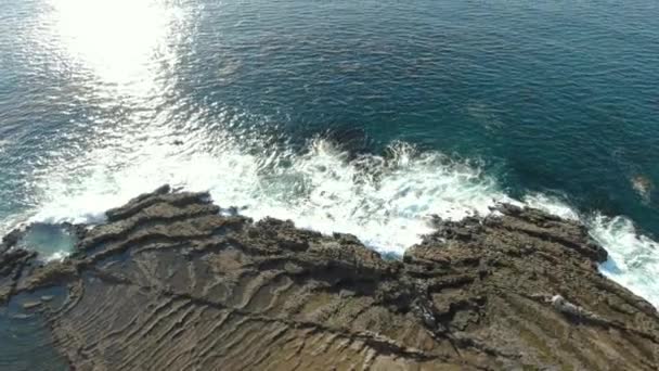 Colpo Aereo Della Costa Californiana Palos Verdes Tide Pool Vista — Video Stock