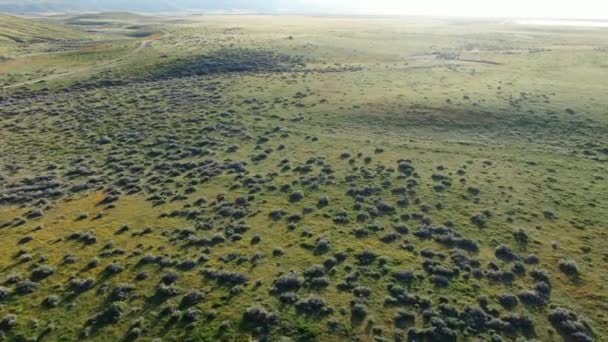 Coquelicot Super Bloom De La Vallée De L'antilope Dans Les Prairies En Californie 