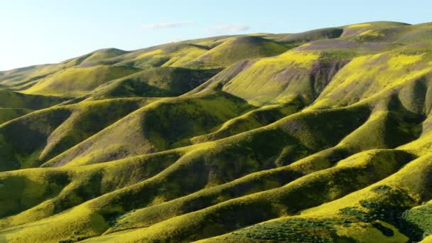 Aerial Shot Super Bloom Sunset Shadows Mountain Ridges Cerca Carrizo — Vídeo de stock