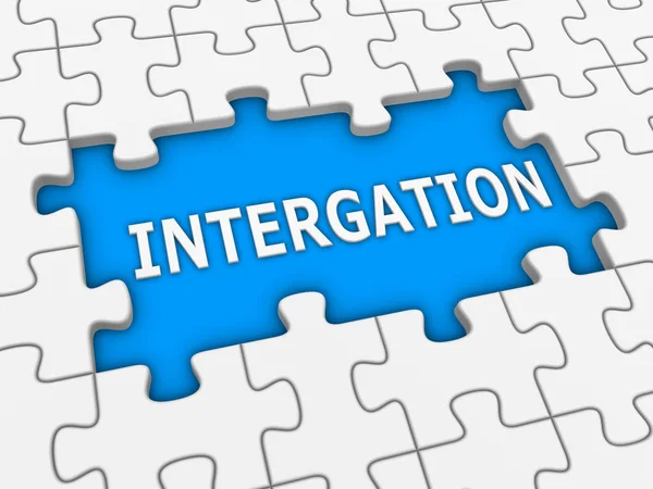 Integration Puzzle Mit Weißem Wort Gerenderte Illustration — Stockfoto