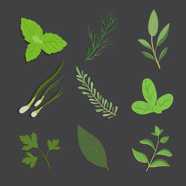 Conjunto de hierbas de dibujo y flores, vector. Hierbas y especias aisladas. Ilustración herbal . — Vector de stock