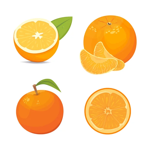 Colección vectorial de naranjas frescas maduras y mandarinas con hojas. Set vector naranja . — Vector de stock