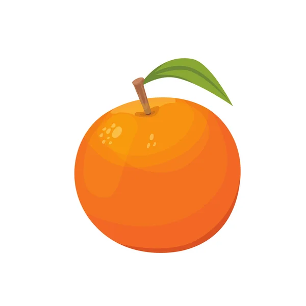 Colección vectorial de naranjas frescas maduras y mandarinas con hojas. Set vector naranja . — Vector de stock