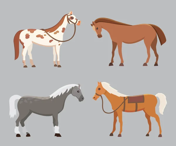 Coleção de cavalos isolados. Bonito desenhos animados animais de fazenda de cavalos. Pães diferenciados —  Vetores de Stock