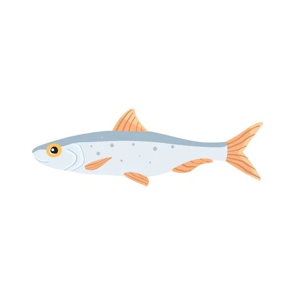 沙丁鱼鱼矢量孤立的插图。卡通新鲜平面绘图. — 图库矢量图片