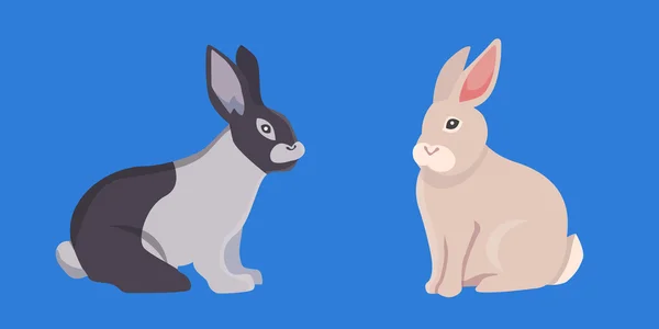 Vektorillustration von Zeichentrickkaninchen. Set Zeichnung isolierte Kaninchen. — Stockvektor