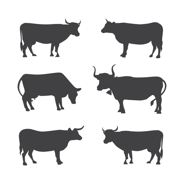 Набор разных коров, изолированных. Векторная иллюстрация силуэта коровы . — стоковый вектор