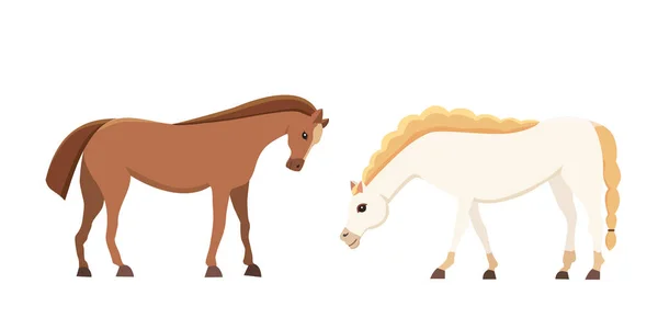 Mangueras vectoriales aisladas granja de dibujos animados. Colección de caballo de pie. Diferente silueta — Archivo Imágenes Vectoriales
