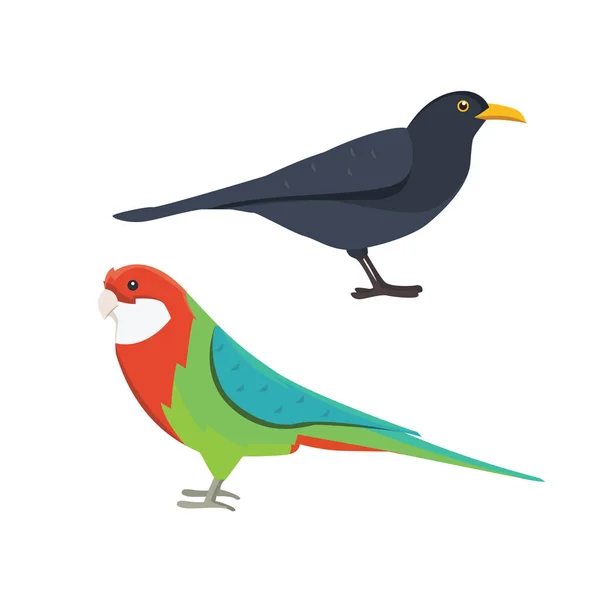 Популярна колекція видів птахів — стоковий вектор