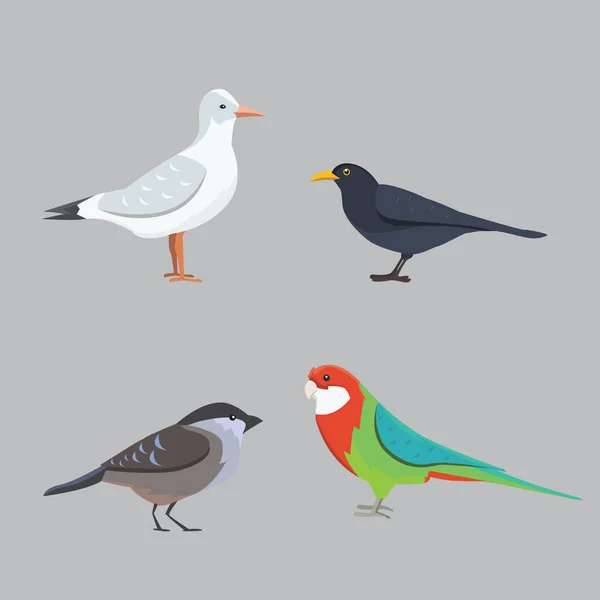 Colección popular de especies de aves — Vector de stock