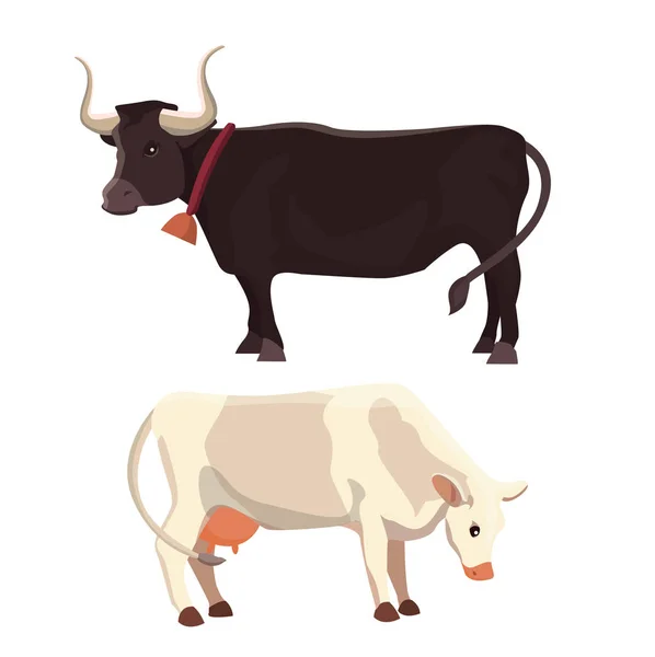 Different cows, isolated Vector illustration. Mammal funny animals. Set milk cow — Stock Vector