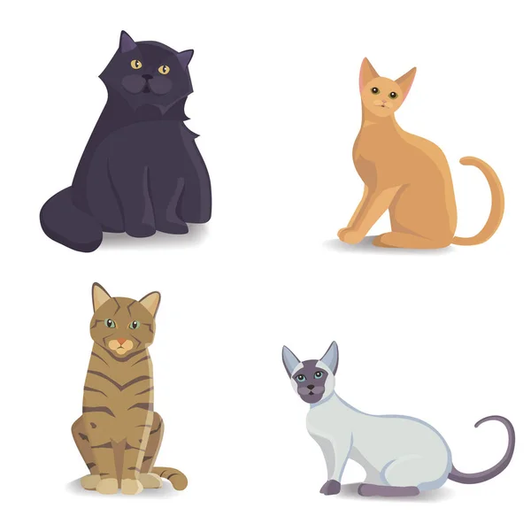 Coleção Gatos de raças diferentes. Vetor isolado gato no fundo branco. Animais domésticos ou animais de estimação. Fanny gatinhos rostos — Vetor de Stock