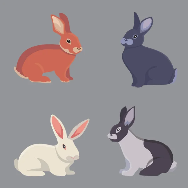 Vector ilustración de dibujos animados conejos diferentes razas. Bonitos bunnys de diseño veterinario — Archivo Imágenes Vectoriales