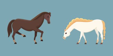 Şirin atlar çeşitli teşkil etmektedir tasarım vektör. Cartoon çiftlik vahşi izole at ve farklı düz midilli silüeti