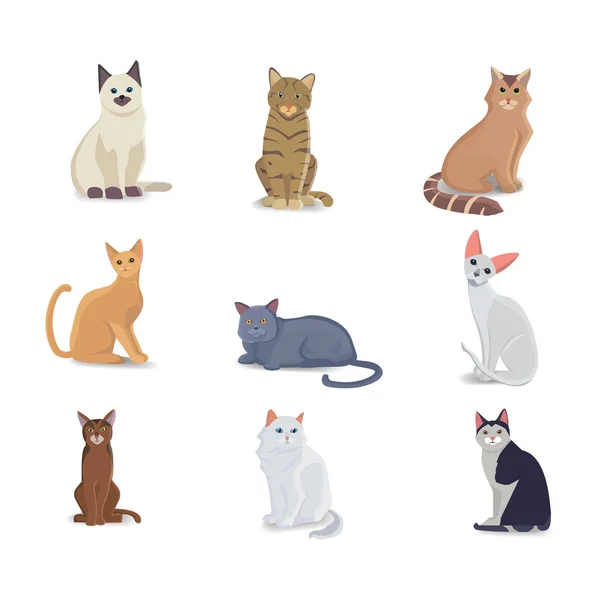 Coleção Gatos de raças diferentes. Vetor isolado gato no fundo branco. Animais domésticos ou animais de estimação. Fanny gatinhos rostos — Vetor de Stock
