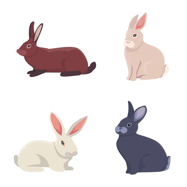 Vector ilustración de dibujos animados conejos diferentes razas. Bonitos bunnys de diseño veterinario — Archivo Imágenes Vectoriales