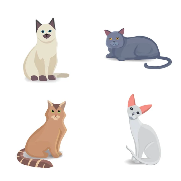 Coleção Gatos de raças diferentes. Vetor isolado gato no fundo branco. Animais domésticos ou animais de estimação. Fanny gatinhos rostos — Vetor de Stock