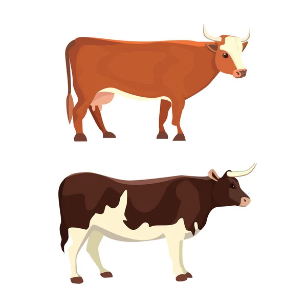 Különböző tehenek, elszigetelt vektoros illusztráció. Vicces állatok, emlősök. Meghatározott tej tehén — Stock Vector